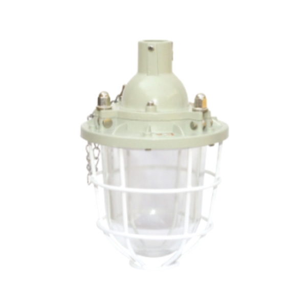 DCG-100系列隔爆型防爆燈(ⅡB)<br><strong>產(chǎn)品特點(diǎn)  Features</strong><br>1、鑄鋁合金外殼，表面噴塑。<br…